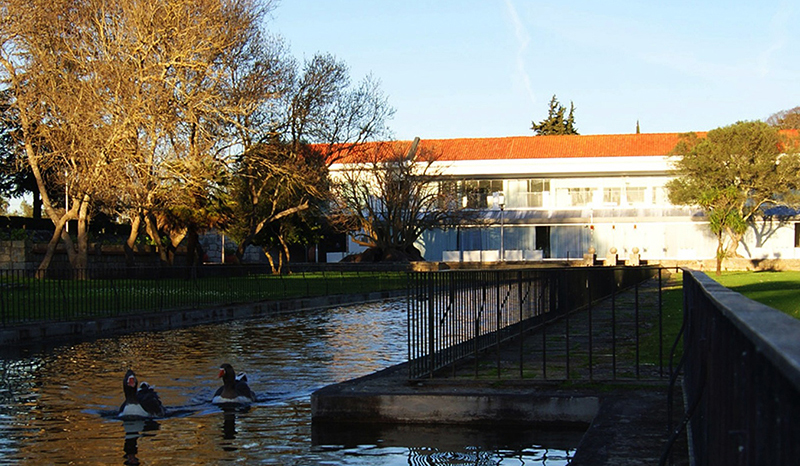 Montes Claros