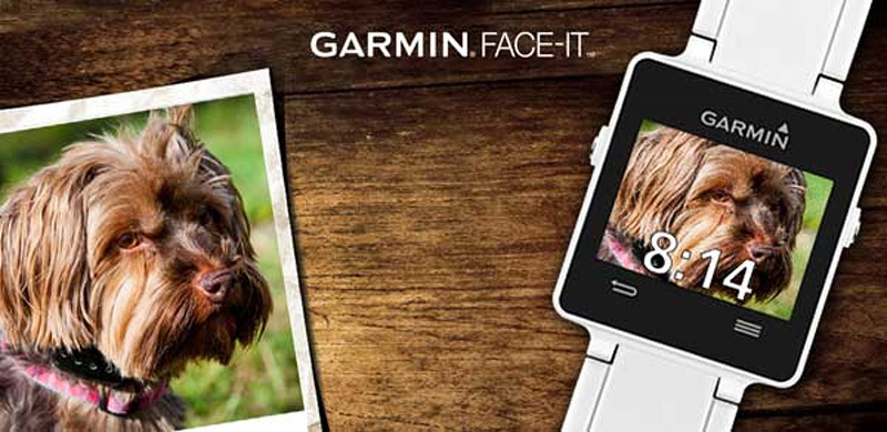 Garmin - Face It