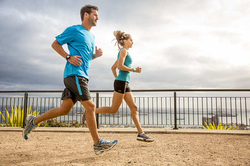 Garmin lifestyle fitness