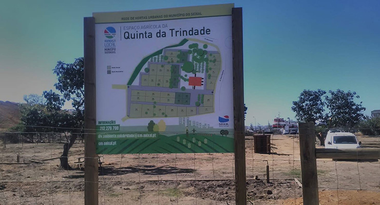 TOSCCA constrói Núcleo Hortícola da Quinta da Trindade