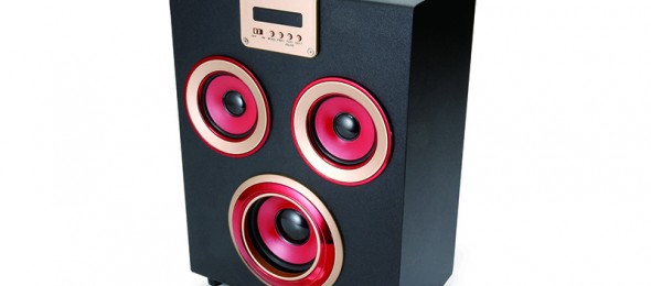 Party Speaker